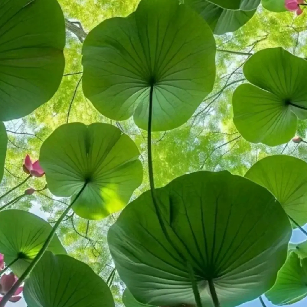 切尔西1亿欧元签下百米飞人，阿森纳损失惨重，转会市场再掀波澜